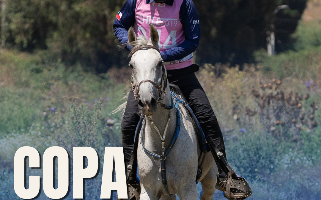 COPA RITOQUE